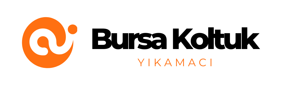 Bursa Koltuk Yıkama